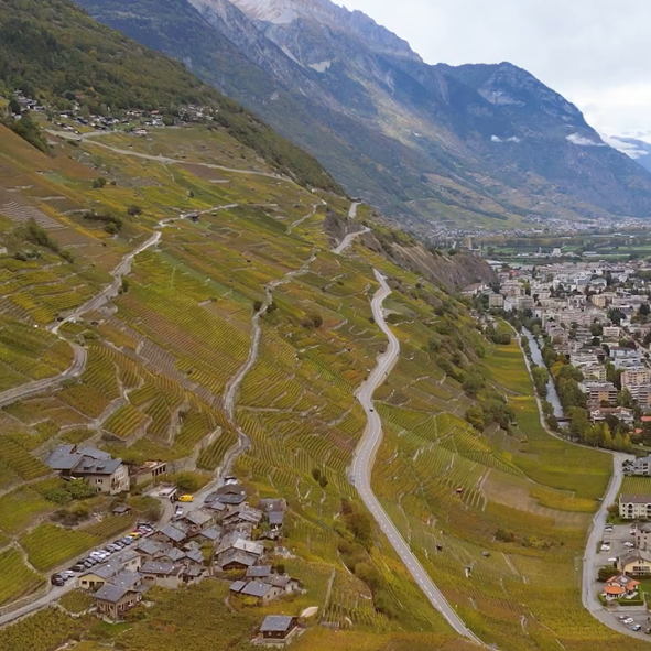 Le chemin de Vuardette