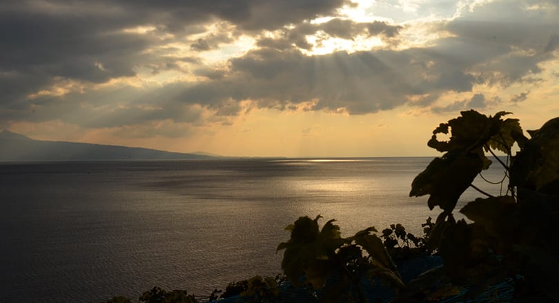 Domaine  Jean-François Chevalley