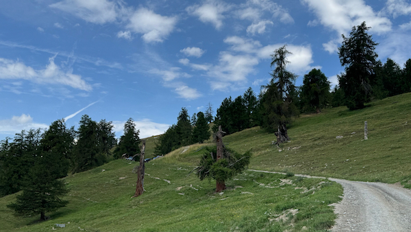 À la rencontre des Géants