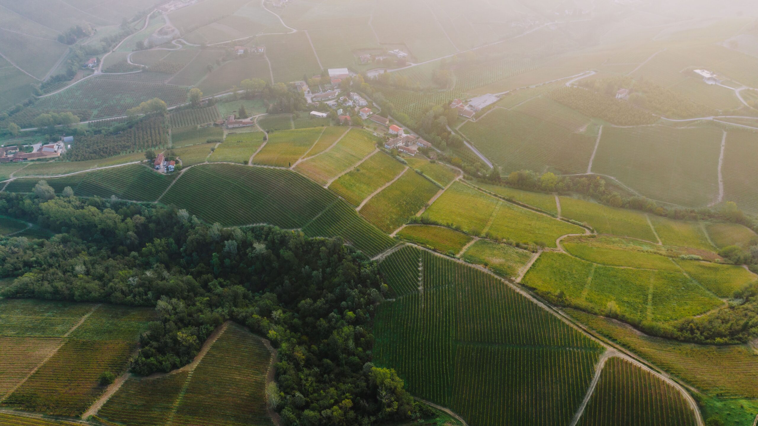 Happy Sunday Barolo – 20.09.26